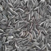 Wholesale 5009 Sunflower Seeds