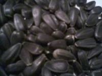 100% sunflower seeds kernel /peeled sunflower seeds