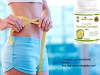 Garcinia Cambogia Pills For Weight Loss