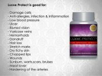LUXXE PROTECT: Pure Grape Seed Extract