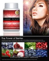 LUXXE RENEW: The Power of 8 Berries