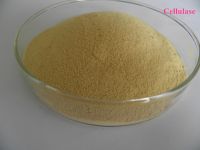 Sell Qualified Cellulase Enzyme