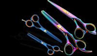 Professional Hair Cutting Scissors