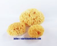 Natural Sea Sponge