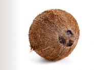 Mature Coconut fruit