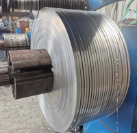 Width 7mm Hot Dipped Galvanized Steel Strips