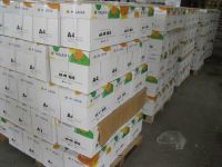 High Quality Double A White A4 Paper 80 gsm (210mm x 297mm)