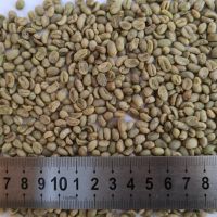 Green Coffee Bean Arabica