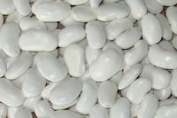 Large white kidney bean