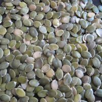 Pumpkin seed kernels Grade AA