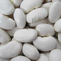 Large white bean