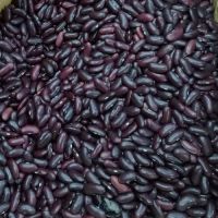 Dark Red Kidney Bean