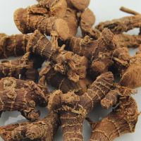 Dry Galangal whole