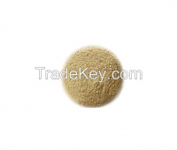 Angel Alpha Amylase Enzyme manufacturer