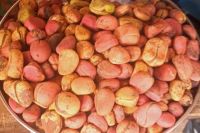 99.9% kola nuts,roots and leafs for sale (60% payments after delivery)