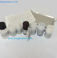 Human Citrulline ELISA kit