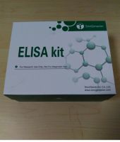 Rat alpha-fetoprotein Lens culinaris agglutiin 3 (AFP-L3) ELISA Kit