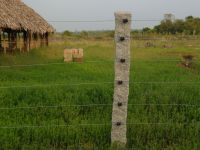 Agriculture Solar Fencing