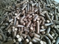 Biocoal Briquettes