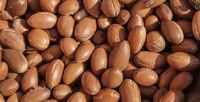 Shea Nuts, Roasted Nuts, Blended Nuts