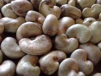 Raw Cashew Nuts For Sale Good Quality 
