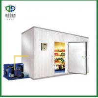 Fireproof Big Freezer Room for Logistics Use