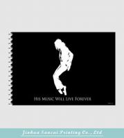 Picture book