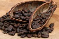 Cocoa/Cacao Beans,Cocoa/Cacao Powder,Cocoa/Cacao Oil,Banana