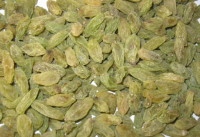 dried green raisin