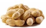 Unpeeled peanuts | roasted