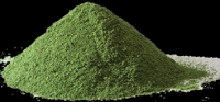 moringa powder