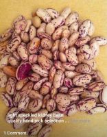 Light Speckled Kidney Beans