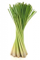 Lemon Grass Leef and Bulb