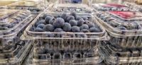 Fresh Blueberries from Peru