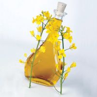 Rapeseed oil Ukraine