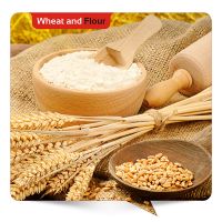 Wheat and Wheat Flour