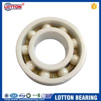 Middle Size CE 6028 Ceramic Ball bearing