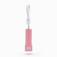 Power Bank With Led Torch Light