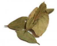 Laurel (Bay) Leaf - Laurus Nobilis