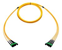 MTP/MPO Trunk Cable Assemblies