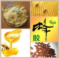 China Supplier Improving Immunity Nutrition Enhancers Propolis Extract Powder Propolis Capsules