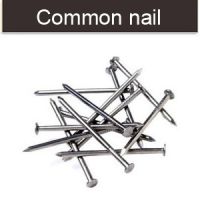 common round nails wire ion nails
