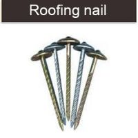 Umbrella head roofing nails