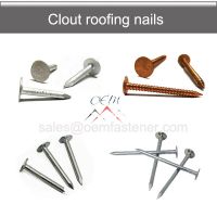 Large flat head Clout roofing nails