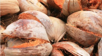 We are exporter of coconut husk in large quantities. Interested buyers can contact with your quantity details.