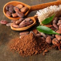 Organic Cacao Powder - Impact Foods