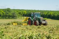 DEHYDRATED ALFALFA HAY VERY GREEN COLOR