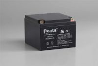 Standard Lead Acid Battery 12V 24Ah