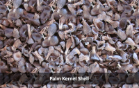 Low Level Ash Palm Kernel Shells PKS