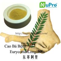 Euricoma Longifolia extracts